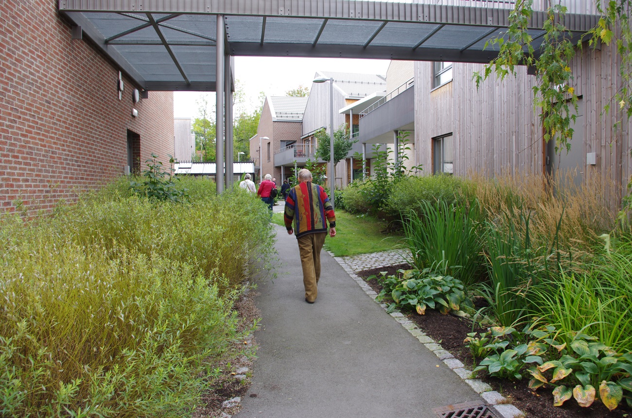 gangfelt mellom byggene med beplanting 3