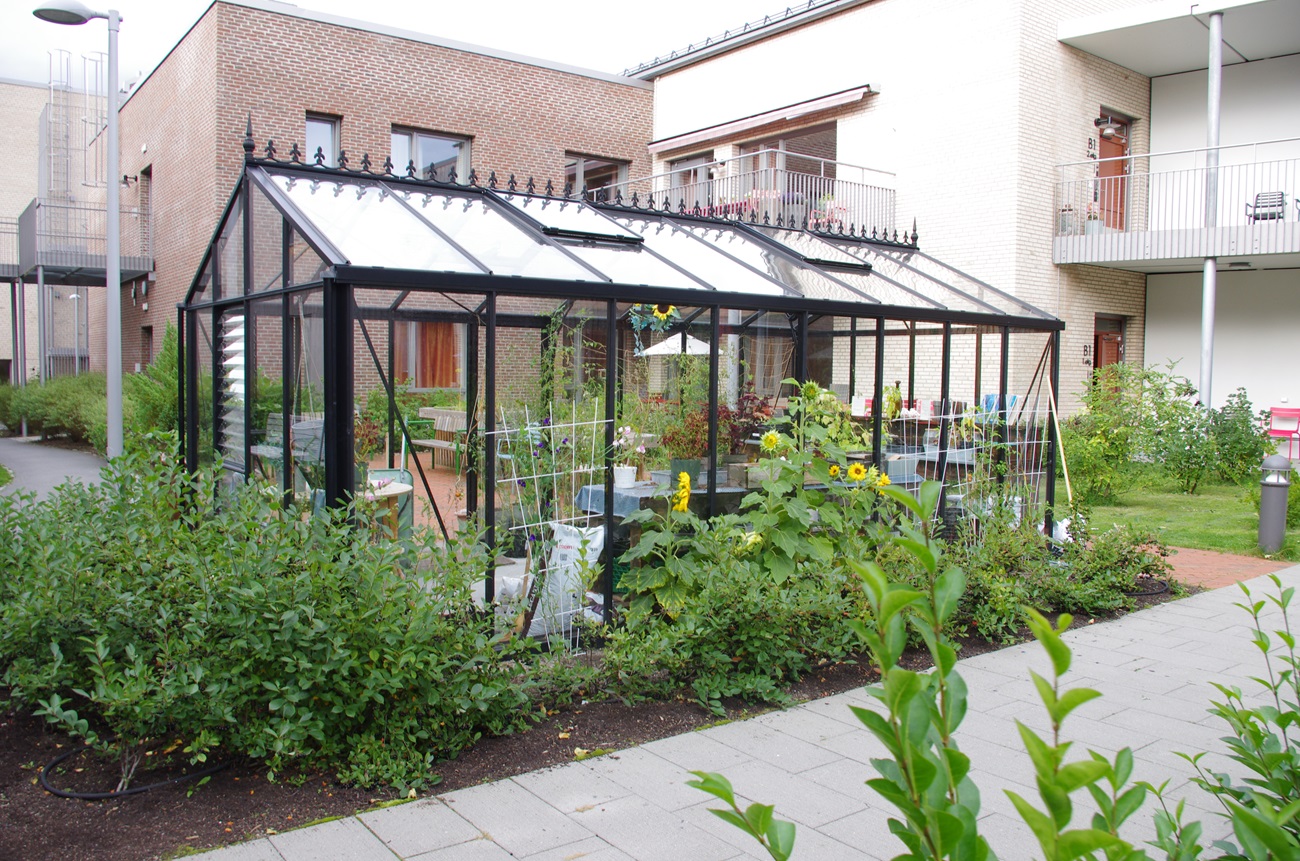 Uteområde med drivhus og planter 2