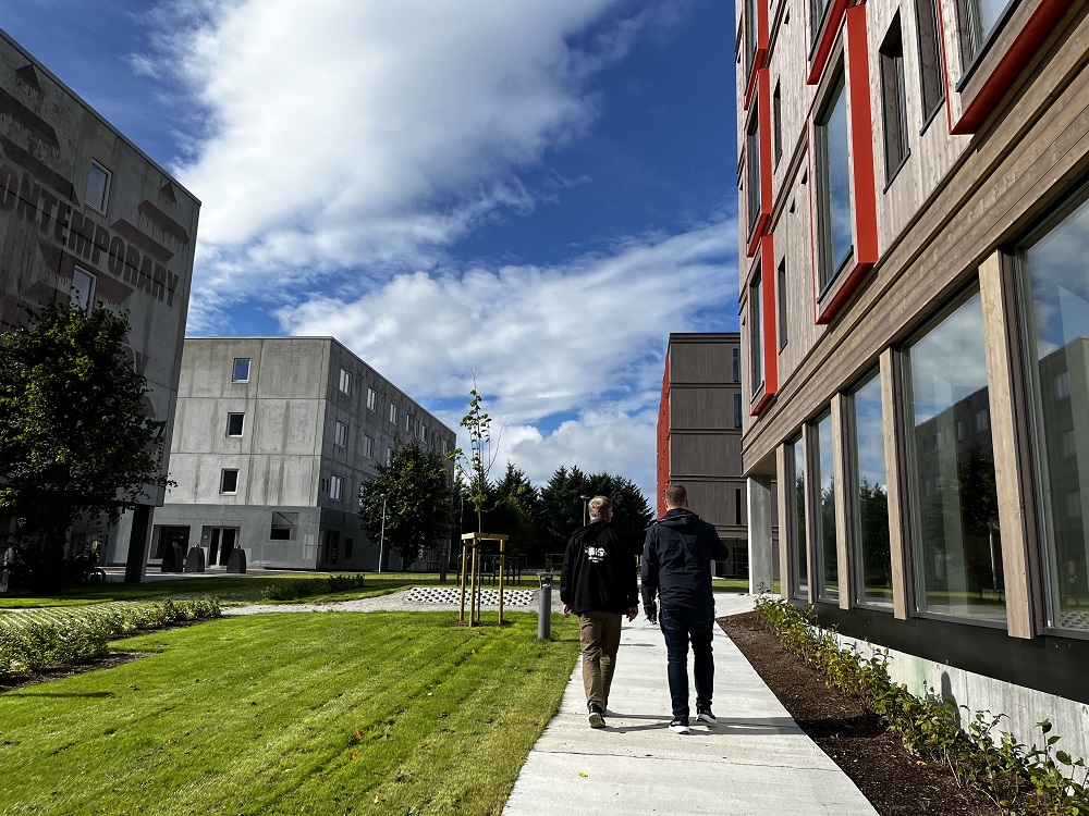 Uteareal mellom hybelbygga med stiar og plen. Foto. 